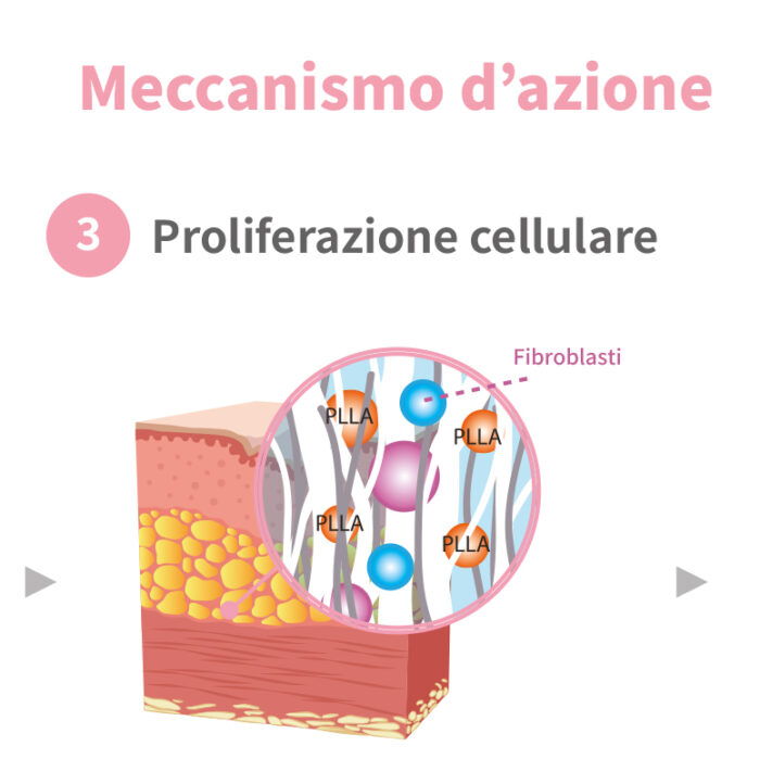 ECOLLA meccanismo d'azione 3